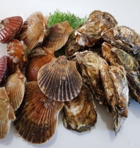 석화(각굴)3kg+홍가리비2kg 킷트상품